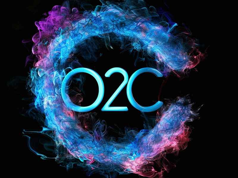 平台网站（十大免费b2c网站b2c十大平台排名）
