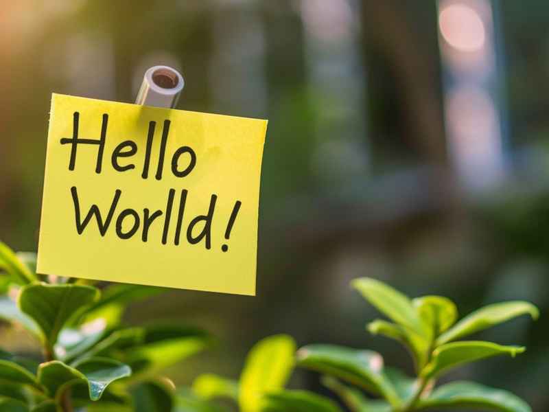 怎么写html网页 帮我写一个html网页,内容Hello World 怎么写html网页 帮我写一个html网页,内容Hello World