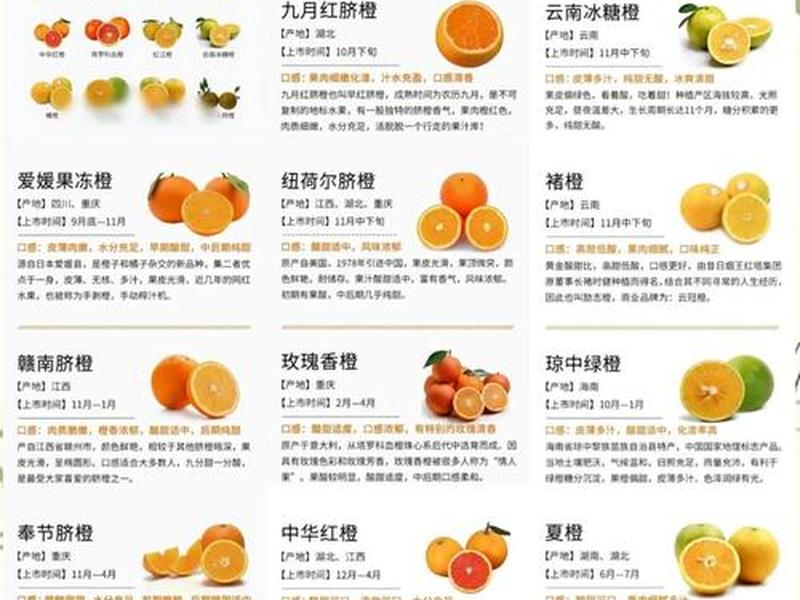 橙子建站的优势和使用技巧 - 橙子建站的优势和使用技巧是什么 橙子建站的优势和使用技巧 - 橙子建站的优势和使用技巧是什么