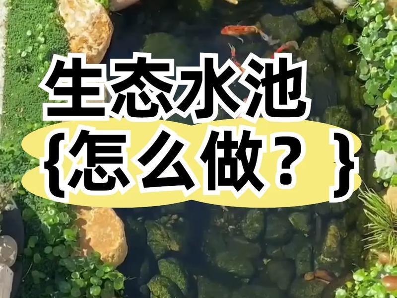 池塘搭建平台 池塘搭建平台的目的 池塘搭建平台 池塘搭建平台的目的