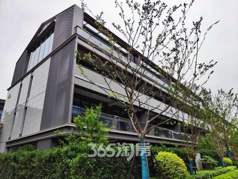 橙云下载;橙云小区下载 橙云下载;橙云小区下载