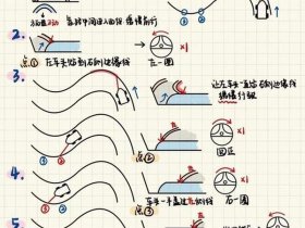 sfs入门教程详细步骤（sfstp）