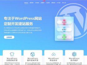 wordpress独立站卡不卡（wordpress独立站主题）