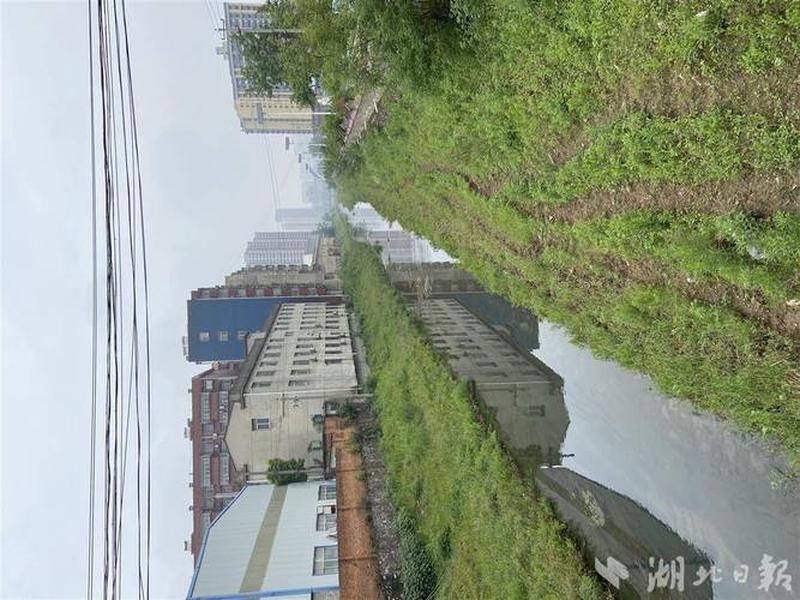 大冶在建工程信息;大冶在建工程信息查询 大冶在建工程信息;大冶在建工程信息查询