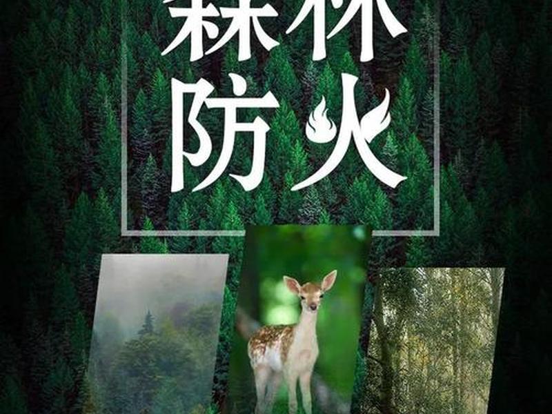 火网官方网站 - 中国森林草原防火网官方网站 火网官方网站 - 中国森林草原防火网官方网站