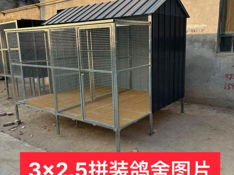 鸽棚搭建视频教程;鸽棚搭建视频教程图解 鸽棚搭建视频教程;鸽棚搭建视频教程图解