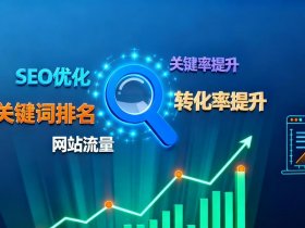 seo新站怎么优化，seo新站优化多少钱 