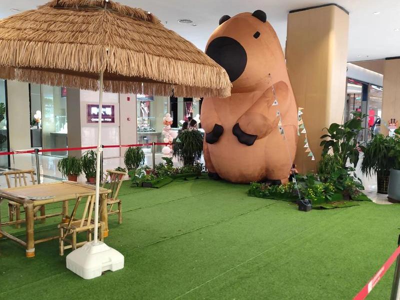 巴中特色商城搭建联系方式 巴中大型商场 巴中特色商城搭建联系方式 巴中大型商场