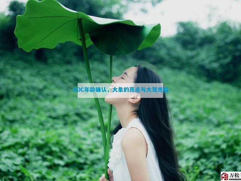 adc(adc年龄确认大驾光临的写作背景) adc(adc年龄确认大驾光临的写作背景)