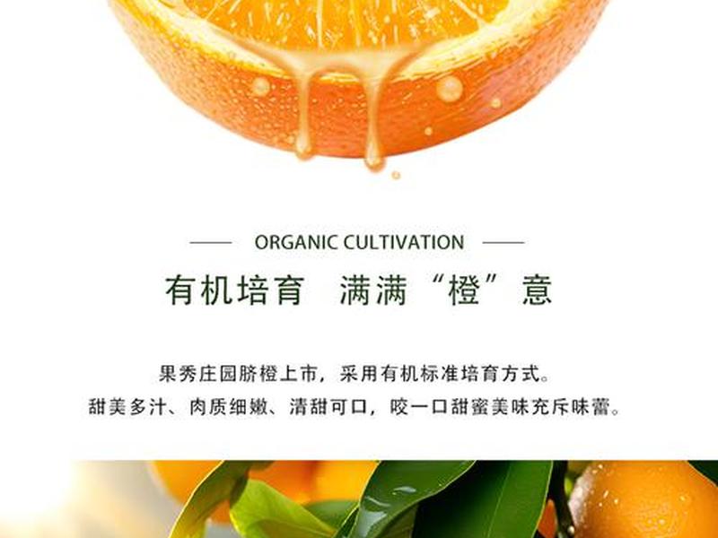 橙子落地页是什么（橙子落地页是什么意思）