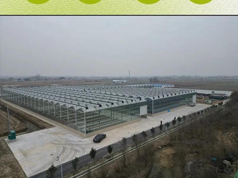 博达大棚建造工艺;博达大棚建造工艺流程 博达大棚建造工艺;博达大棚建造工艺流程