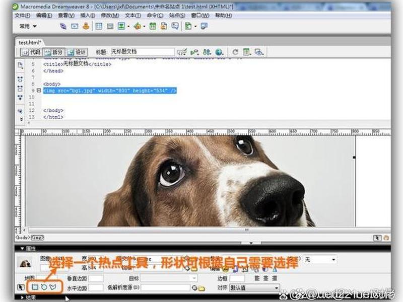 dreamweaver8第一单元(第六章dreamweaver的表单元素,学后自测) dreamweaver8第一单元(第六章dreamweaver的表单元素,学后自测)