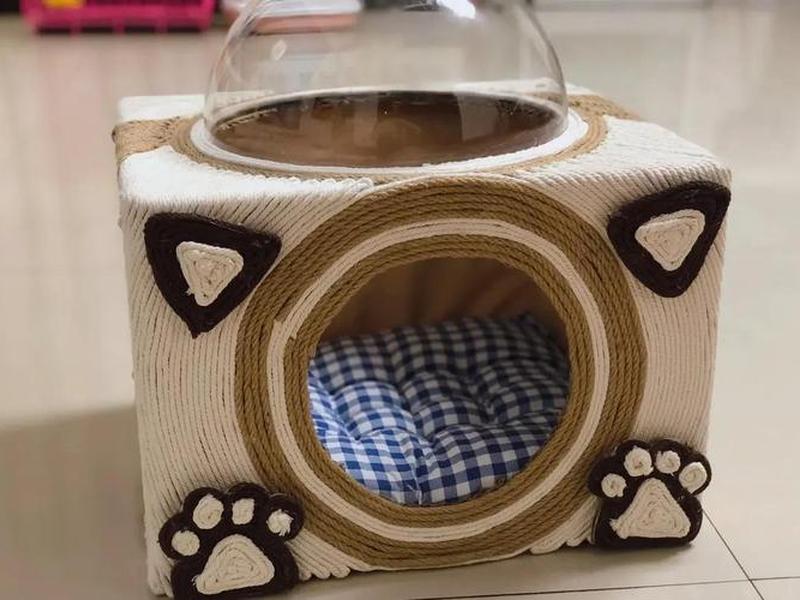 建设猫窝视频(盖猫窝视频) 建设猫窝视频(盖猫窝视频)