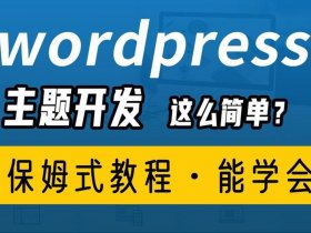 wordpress主题开发教程视频 wordpress主题开发文档