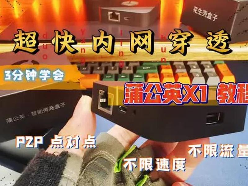 花生壳内网穿透、花生壳内网穿透6元