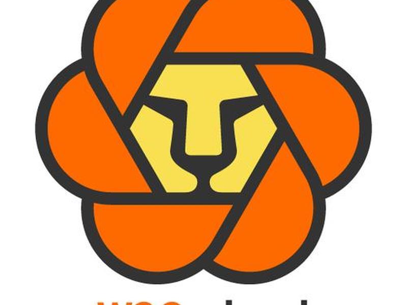 W3Cschool(W3Cschool编程狮) W3Cschool(W3Cschool编程狮)