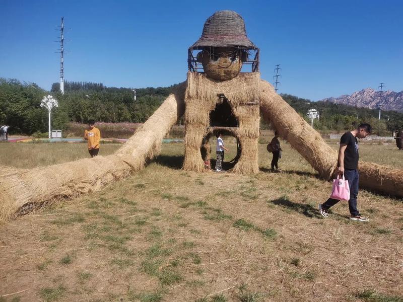刺猬场地搭建（刺猬场地搭建视频）