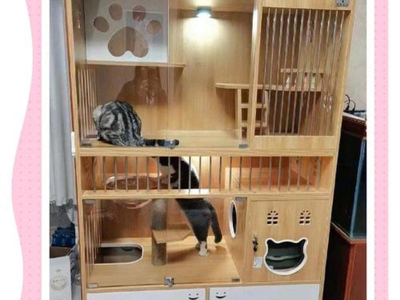 建造猫舍的详细教程(建造猫舍的详细教程图片) 建造猫舍的详细教程(建造猫舍的详细教程图片)
