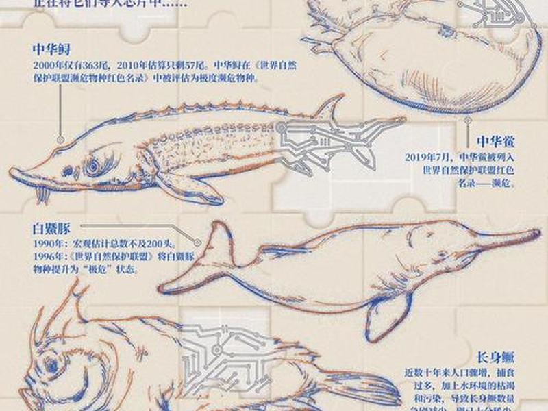 poolfish，poolfish问卷调查