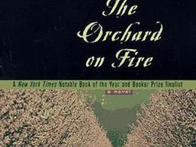 orchard core - orchard core书籍在那个书店可以买到 orchard core - orchard core书籍在那个书店可以买到