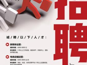 安庆外贸网站优化；安庆外贸网站优化招聘