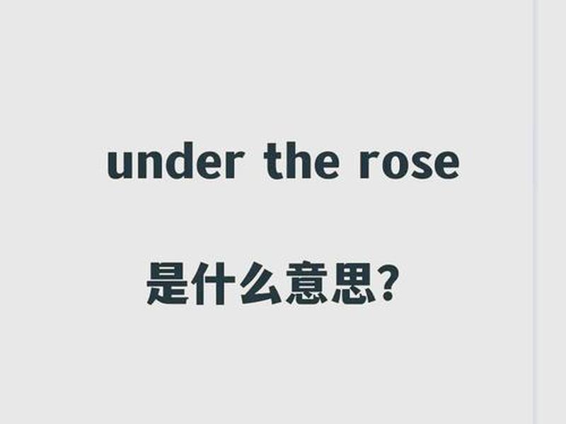 siteground是什么，underground是什么意