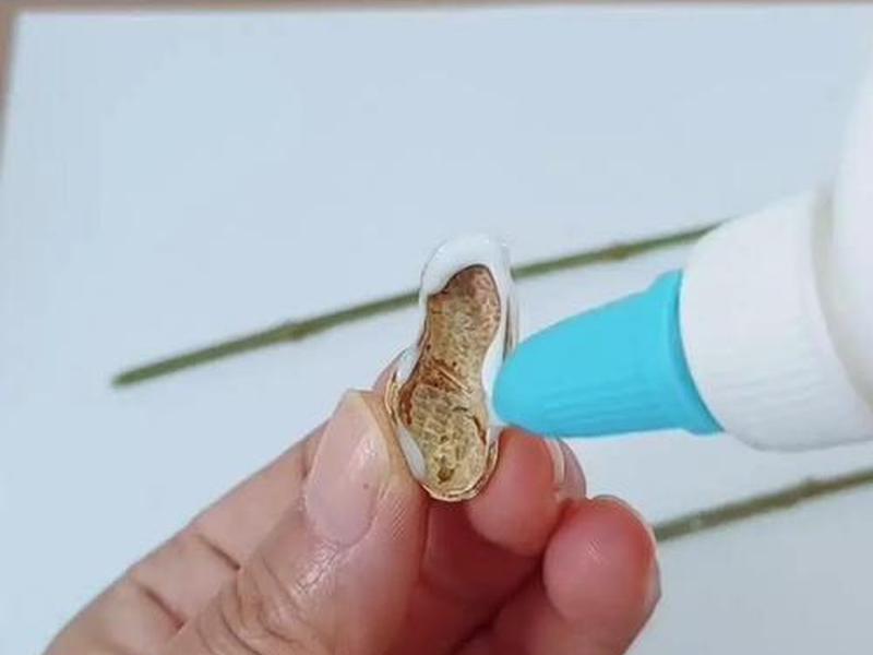 花生壳个人版使用教程,花生壳个人版使用教程图片 花生壳个人版使用教程,花生壳个人版使用教程图片