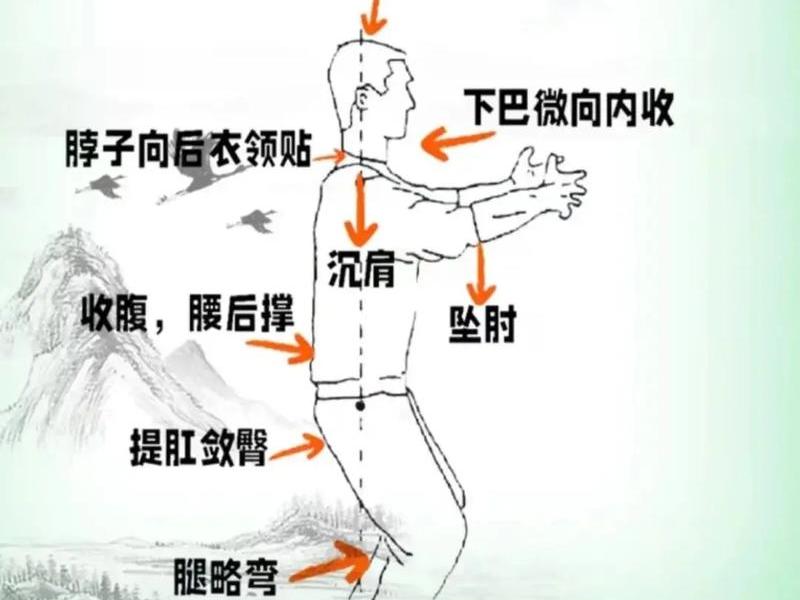 初学站桩入门教学(初学站桩入门教学方法) 初学站桩入门教学(初学站桩入门教学方法)