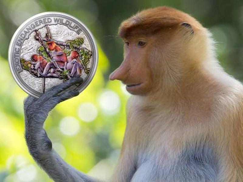 monkey建站教程,monkey使用教程 monkey建站教程,monkey使用教程