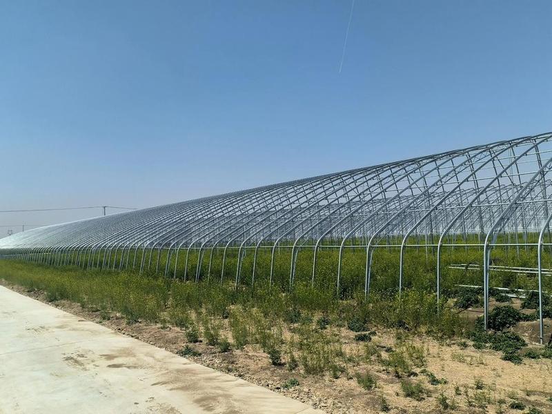 常州智能大棚搭建（常州智能大棚搭建公司）