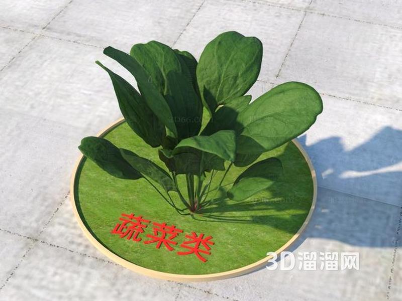 菠菜模板合集、菠菜模型 菠菜模板合集、菠菜模型