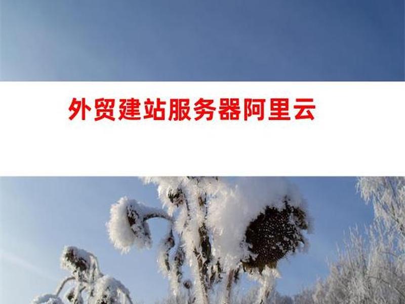阿里云外贸 - 阿里云外贸建站教学 阿里云外贸 - 阿里云外贸建站教学