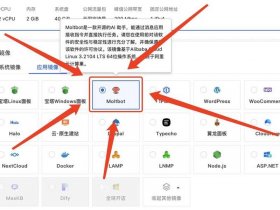 vultr服务器搭建教程 vultr搭建ss教程