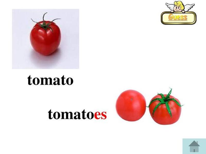 tomato社区下载 tomato社区下载苹果 tomato社区下载 tomato社区下载苹果