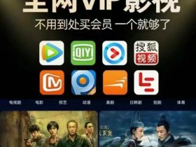 vip电影接口、vip电影解析接口无广告
