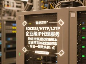 多ip服务器搭建l2tp（服务器怎么搭建l2tp）