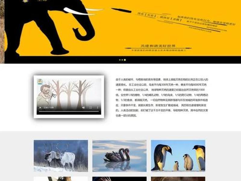 html css网页设计布局 html+css+div网页设计与布局