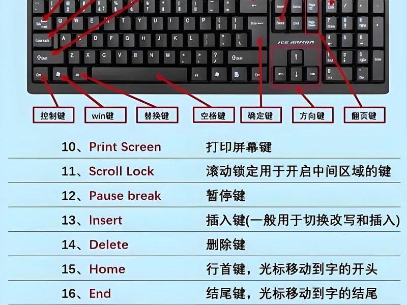 菜鸟快速入门教程、菜鸟快速入门教程图片 菜鸟快速入门教程、菜鸟快速入门教程图片