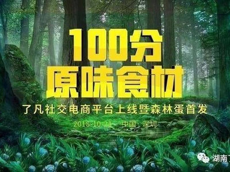 凡客网络科技有限公司;凡客网络科技有限公司官网 凡客网络科技有限公司;凡客网络科技有限公司官网