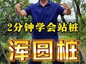 初学站桩视频 初学站桩的正确方法视频