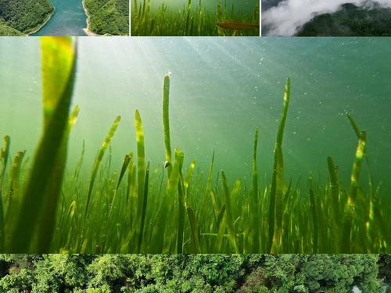 环境视频模板,环境拍摄视频 环境视频模板,环境拍摄视频