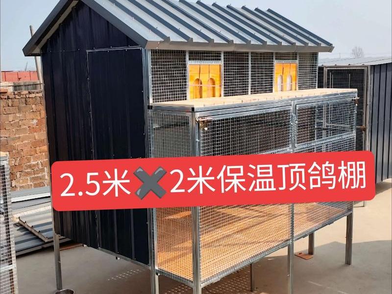 鸽棚自己怎么建造最划算 鸽棚自己怎么建造最划算视频 鸽棚自己怎么建造最划算 鸽棚自己怎么建造最划算视频