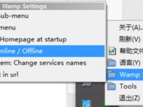 wamp配置自己的网站 - 怎么配置wampserver