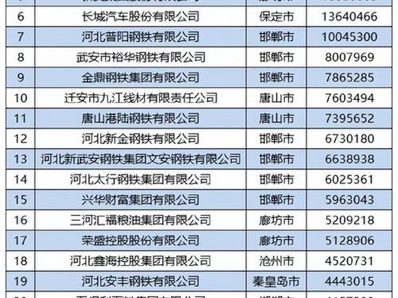 河北有几个外贸综合服务公司 - 河北有几个外贸综合服务公司在哪里 河北有几个外贸综合服务公司 - 河北有几个外贸综合服务公司在哪里