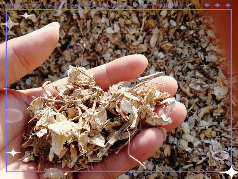 花生壳centos(花生壳的功效和作用主治) 花生壳centos(花生壳的功效和作用主治)