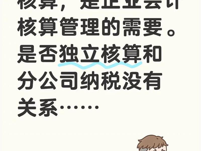 公司独立站财务核算怎么做 - 公司独立核算是什么意思