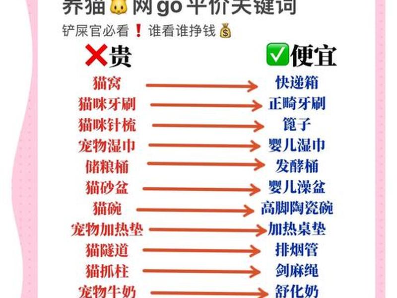 建猫舍的详细流程和注意事项 建猫舍的详细流程和注意事项有哪些