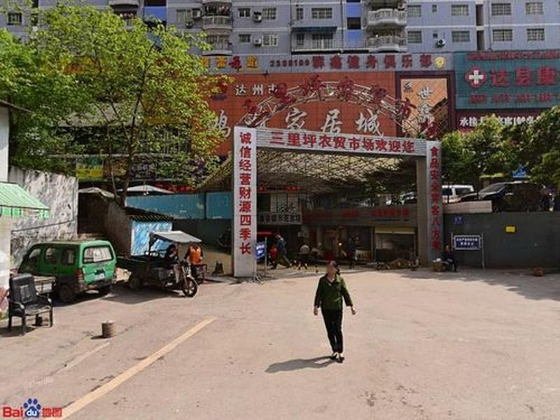 达州新鲜商城搭建联系方式,达州新建农贸市场 达州新鲜商城搭建联系方式,达州新建农贸市场