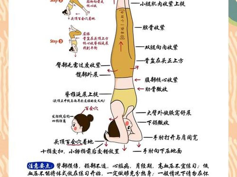 初学者肩肘倒立分解动作视频，初学者肩肘倒立分解动作视频教程