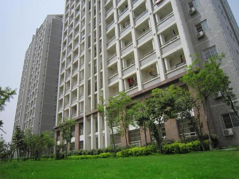 godaddy建站 - 有用godaddy建站神器的吗